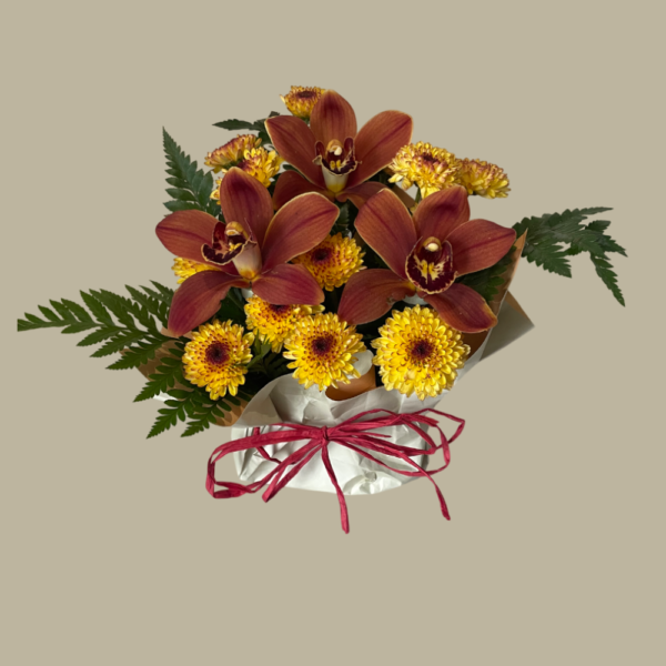 Mimo Delicadeza