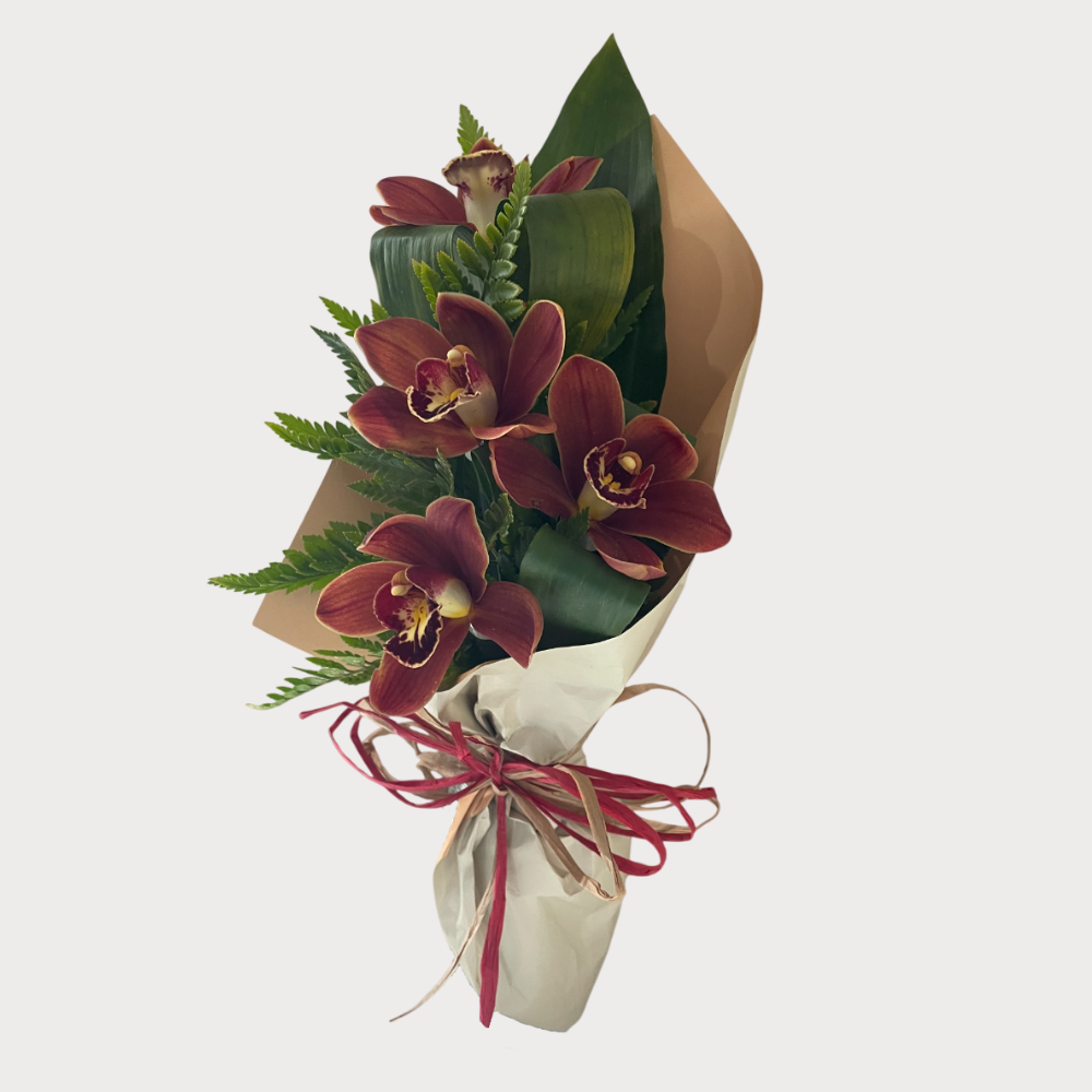 Simplesmente orquideas